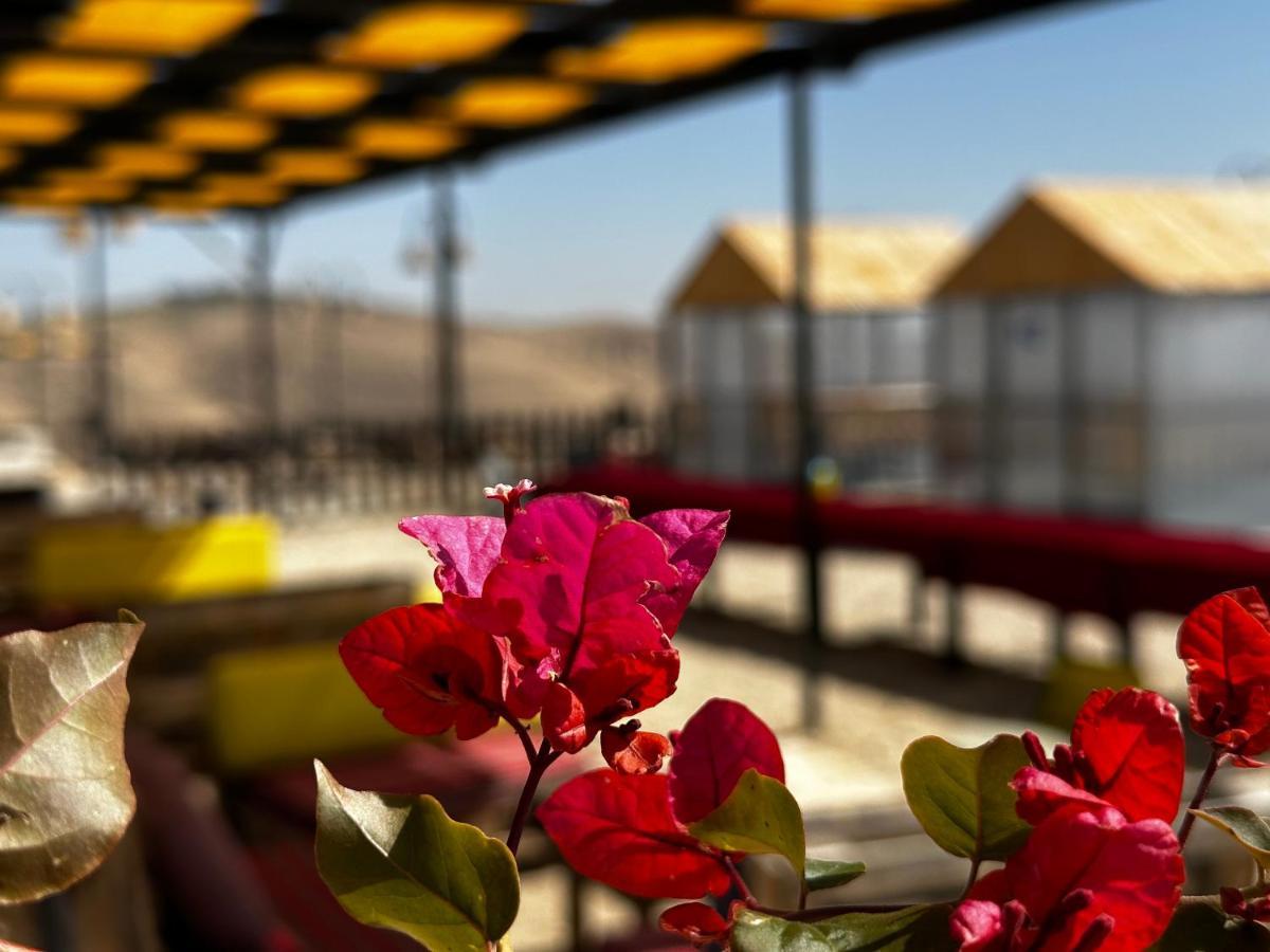 Wadi Al-Wala View Camp Hotel Madaba Exterior foto